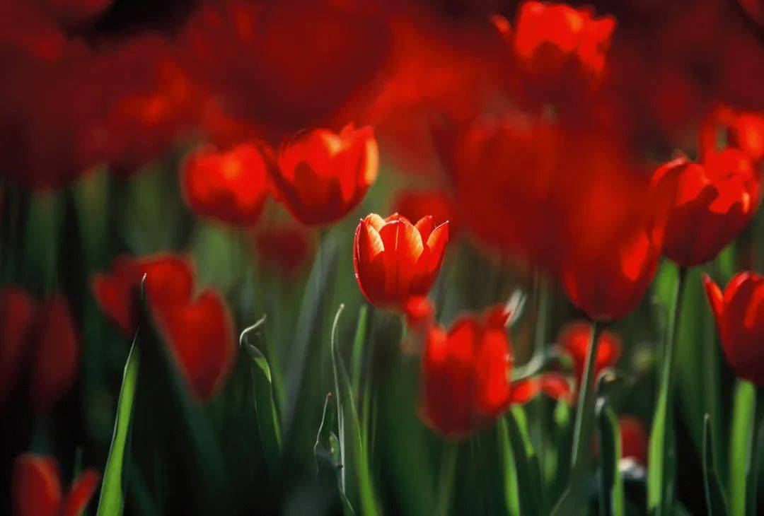 这一生,没有人能躲得过的四个真相_人生_外物_平常心