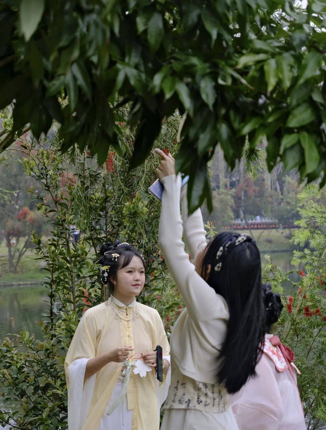 一至十二月分别对应梅花,杏花,桃花,牡丹,石榴,荷花,玉簪,桂花,菊花
