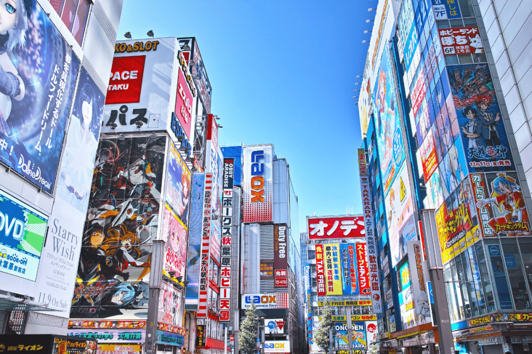 游走东京/大阪/京都/神户/奈良/富士山一个也不错过