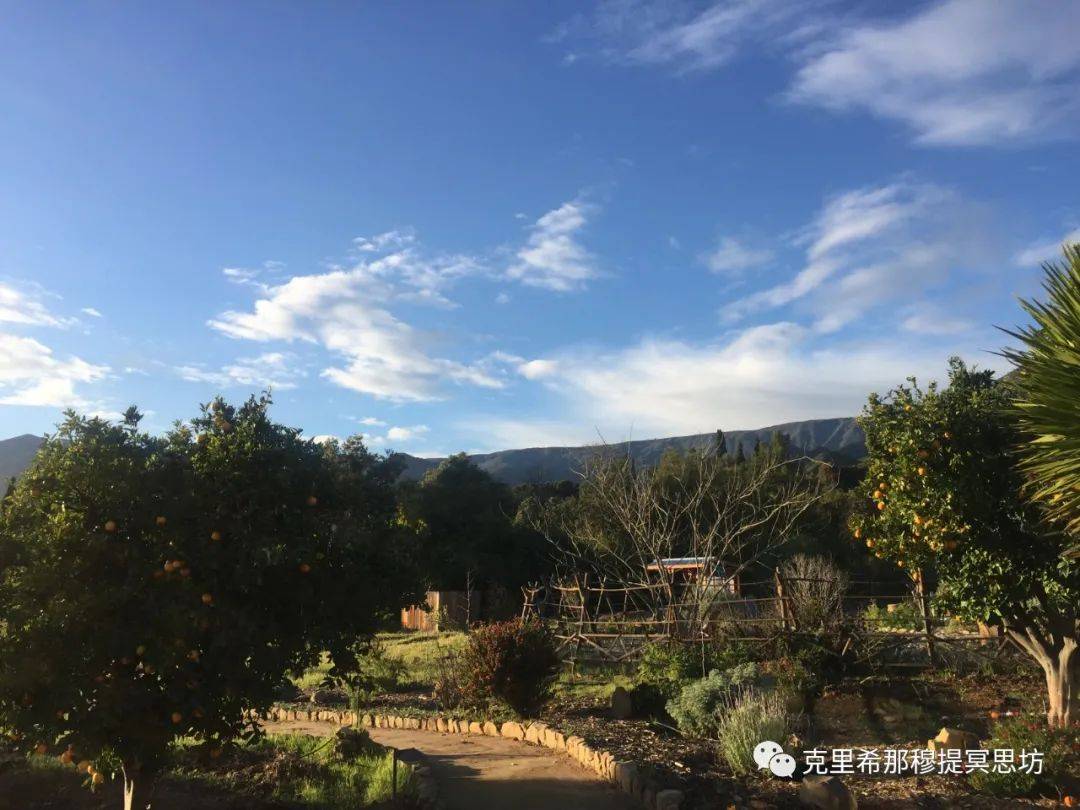 【言谈录】只有爱能够驯服欲望