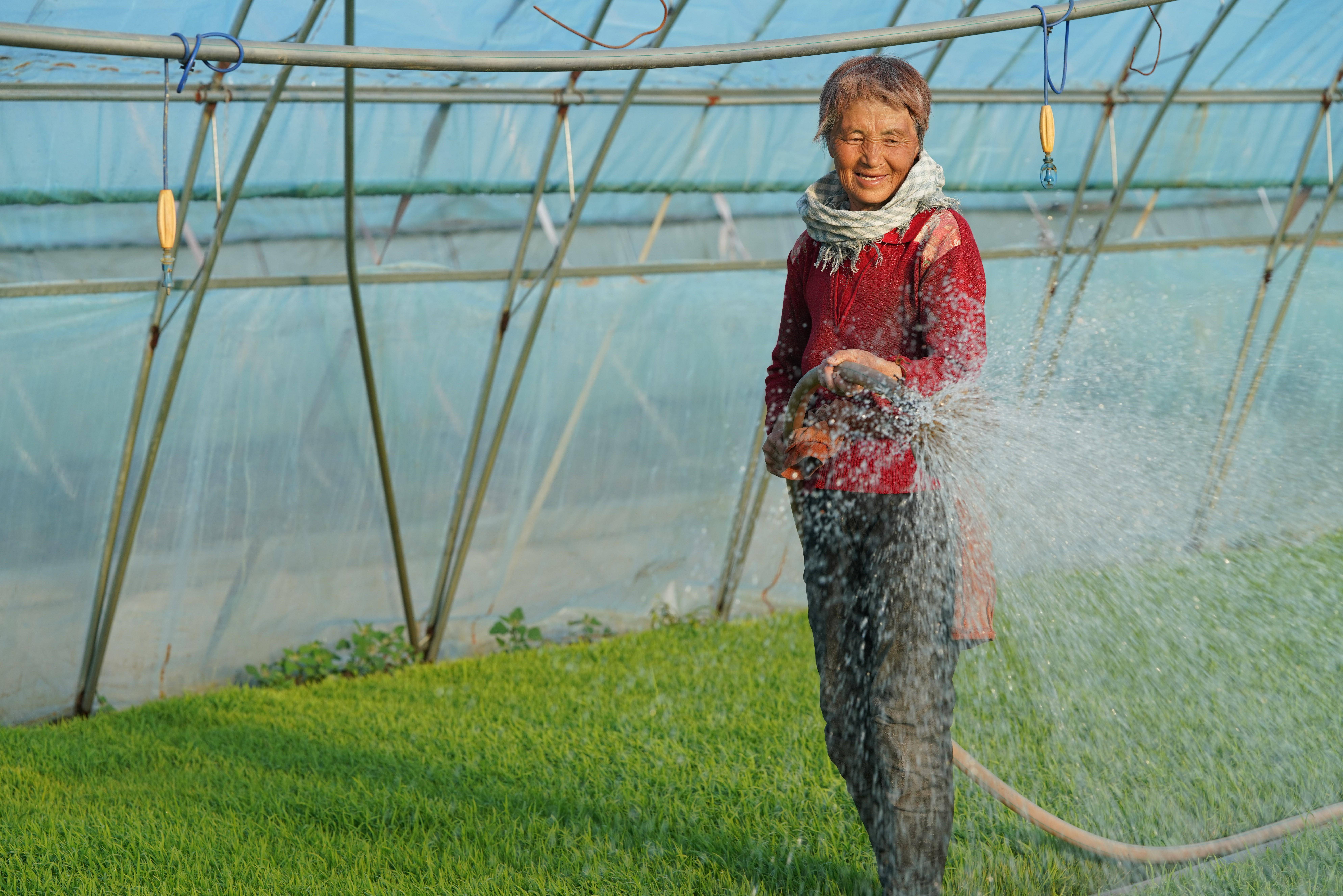 "大粮仓"黑龙江三江平原水田插秧全面启动