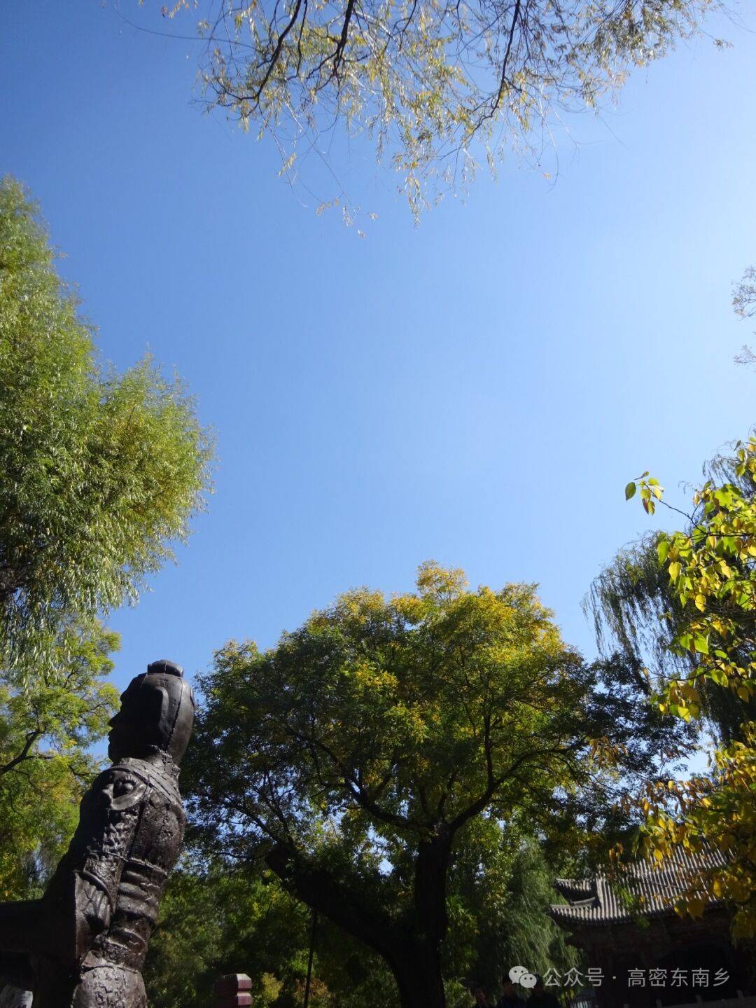 时间不停地砸开,来来往往的故事秘密或而屏住,稀薄鸟翼难以提及的样子