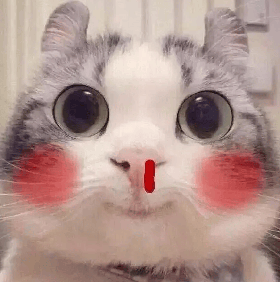 将黑色穿到极致的女性代表当属在国际上具有非凡实力和地位的华人女性