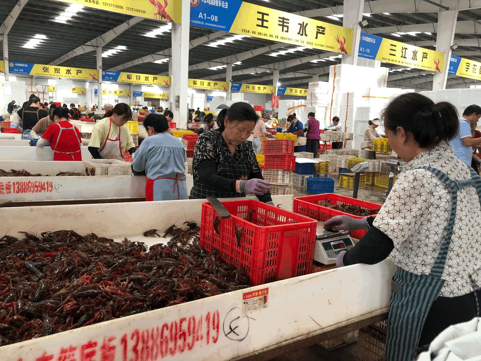 潜江大市场图片