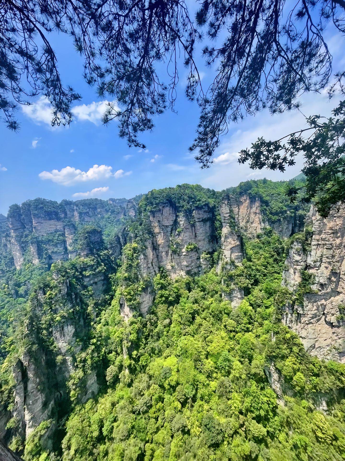 湖南张家界六日游有些什么景区 ,拜托了,想去旅游的存下吧