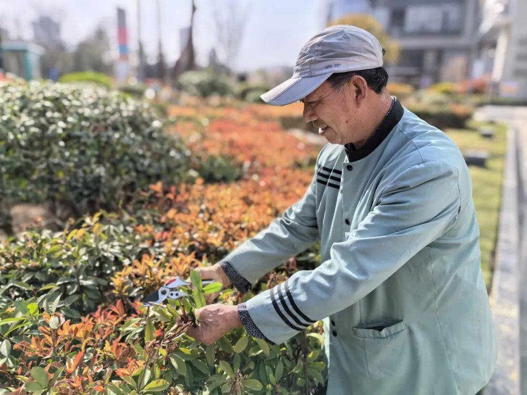 科瑞物业:"绿植达人"这样打造城市鲜氧环境→_植物_工作_绿地