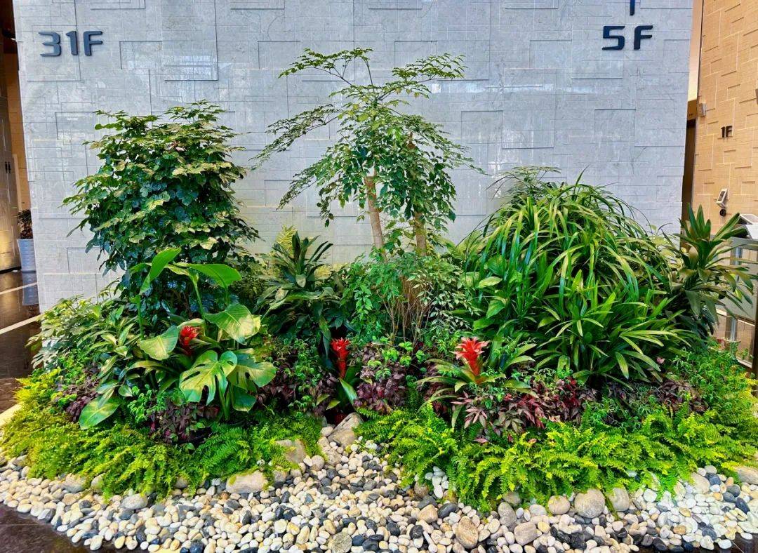 科瑞物业:"绿植达人"这样打造城市鲜氧环境→_植物_工作_绿地