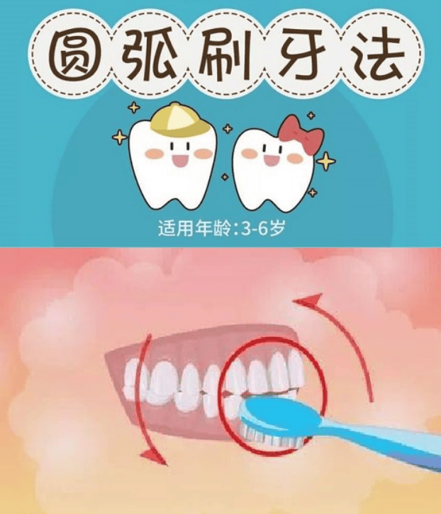 圆弧刷牙法图片图片