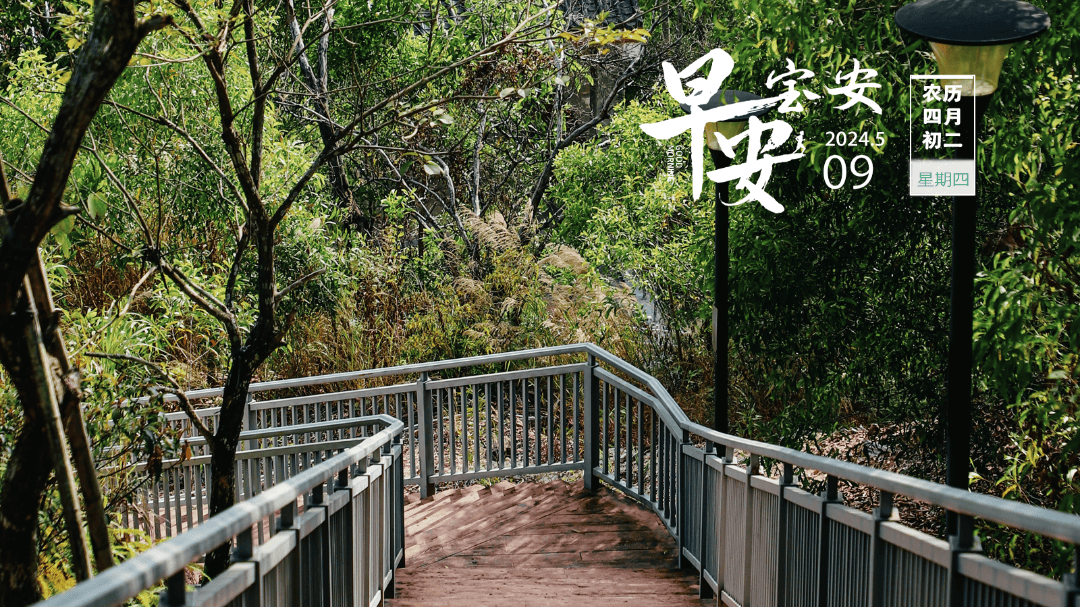 田野牧蜂央视报道图片