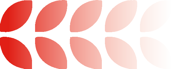 广西南宁:以"2345"管理模式多管齐下聚合力,精准推动西部计划项目高