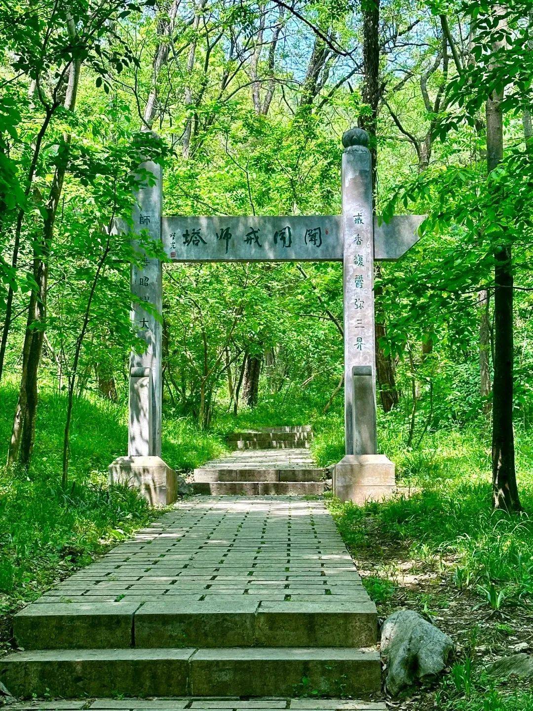 春游江淮 请来滁州|码住,跟着本地人打卡滁州热门景点!