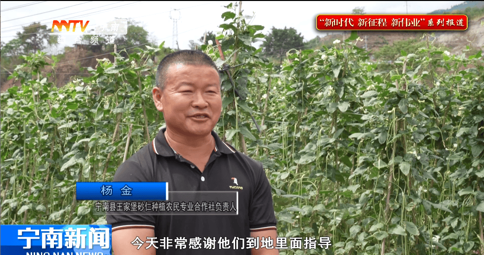 我县开展豇豆病虫害绿色防控技术培训活动_宁南县_种植_进行