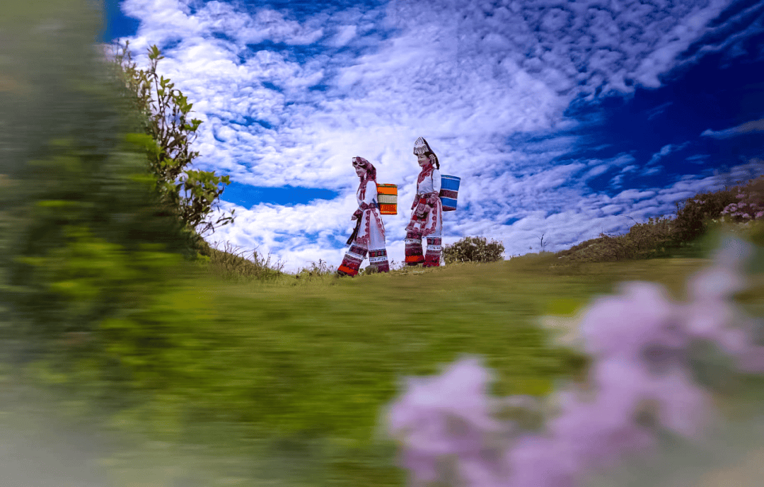 【美丽乡村】人间仙境!普古文阁大山景美如画