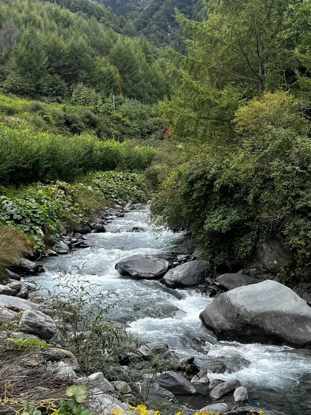 幺妹峰的东壁远眺四姑娘山主峰可到达近4000米海拔石召垭口爬升1800米