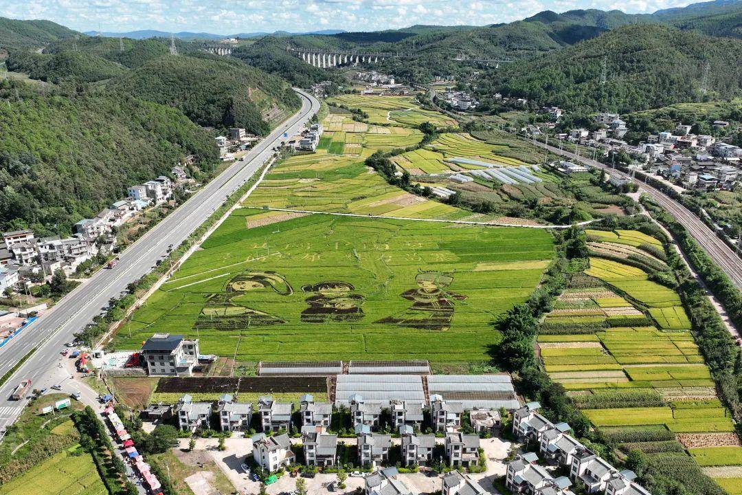 让"良田"回归"粮田"—— 楚雄州农业农村局被表扬为云南省耕地保护