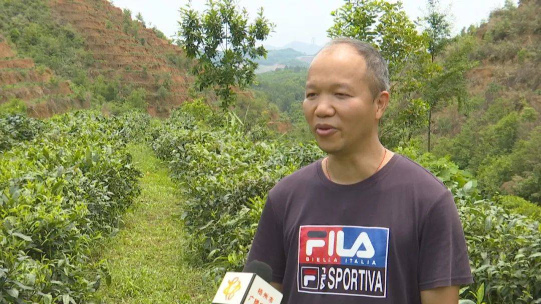 梧州市竹茗茶业有限公司董事长 韦伟涛:"节能光伏发电抽水成本很低