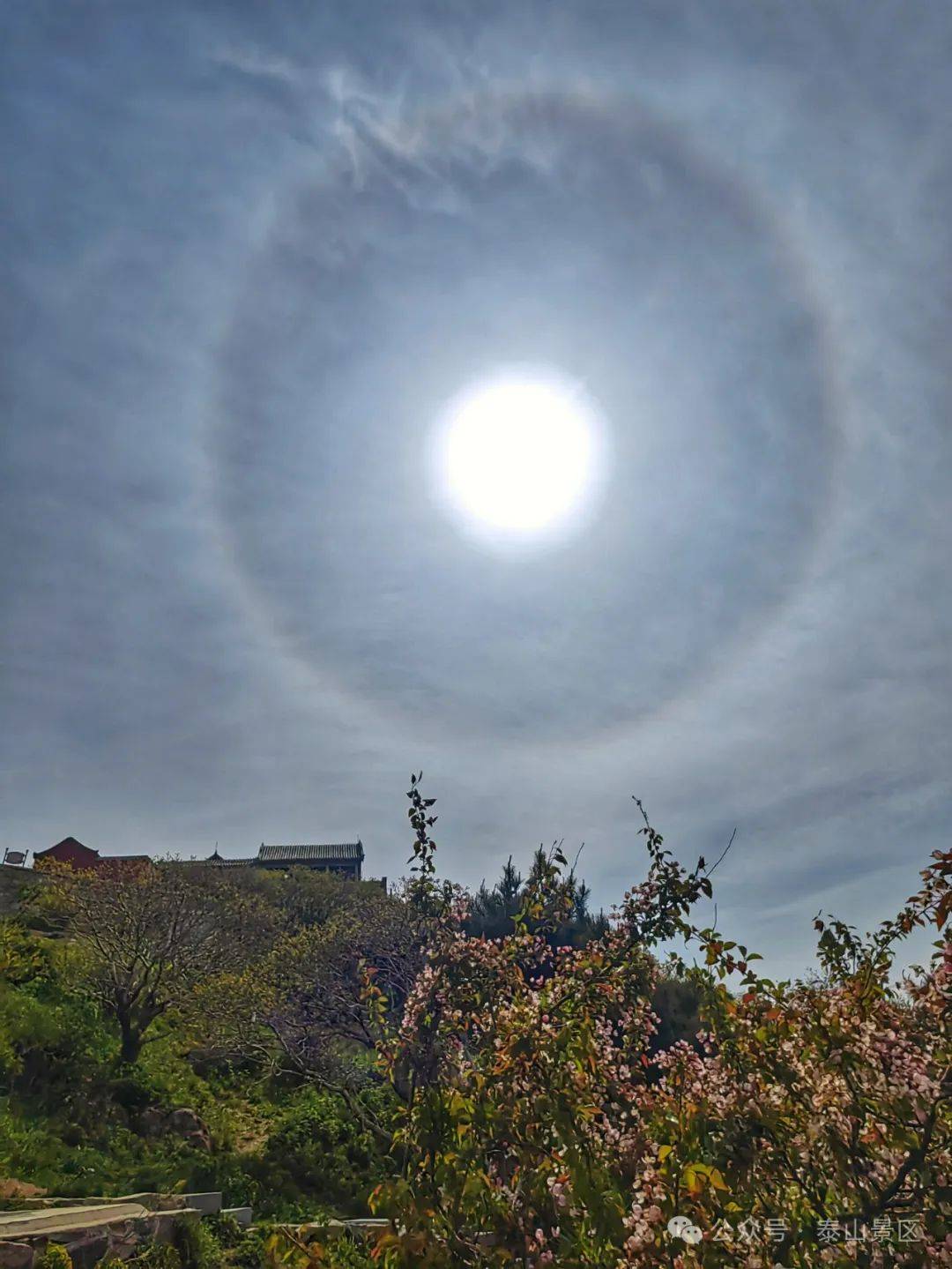 组图|今晨,泰山之巅现冰晕奇观