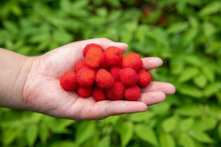 彼时,两个弟弟都已在杭州读大学,父母还未年迈,他们一星期最大的盼头