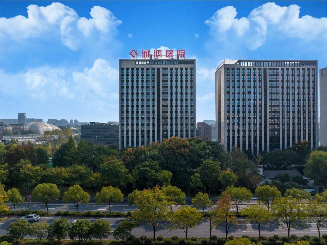 公职,孤身一人南下加盟民营医院——杭州诚鸿医院(原杭州恩华医院),与
