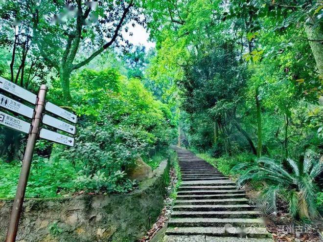 温州这片自古便承载着"第二十六福地"美誉的神奇秘境,现在免费游玩