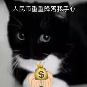 已判刑)使用银行卡是用来接收转移他人违法犯罪资金,仍将本人和其母亲