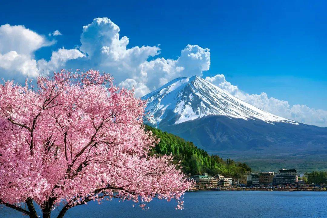 富士山头型图片