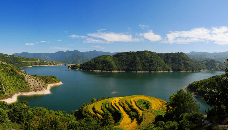 以水破题实现"五水共富":所地共建 助力山区渔业"土特产"高质量发展