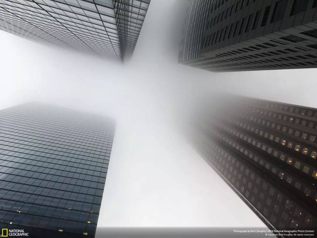 这些照片为什么能拿到国家地理摄影大奖?