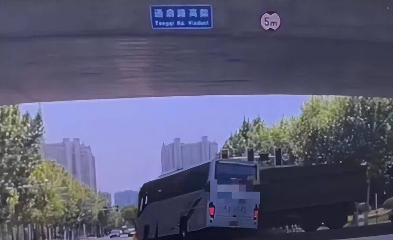 12岁优优车祸身亡原因找到了:信号灯故障致悲剧,外婆发横幅控诉