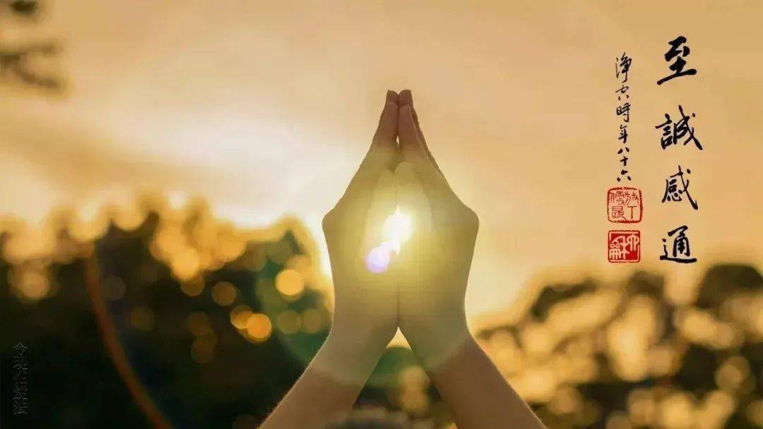 母亲,就是我们身边的活佛!