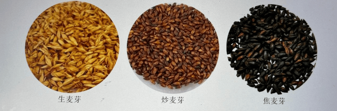 生麦芽,炒麦芽,焦麦芽,功效各不同