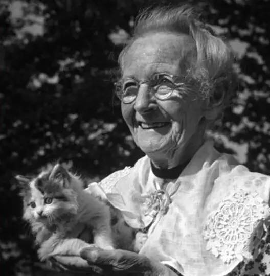 绘画_生活_摩西