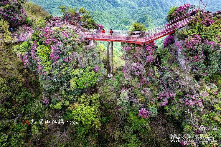 漫山遍野的杜鹃花开,姹紫嫣红盛放在峭壁之上,呈现出"窥似浮焰蒸霞蔚