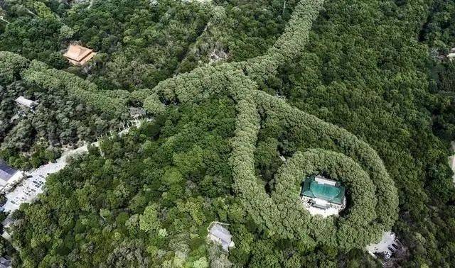 中山陵,音乐台,美龄宫,明孝陵,灵谷寺都在钟山风景区内.