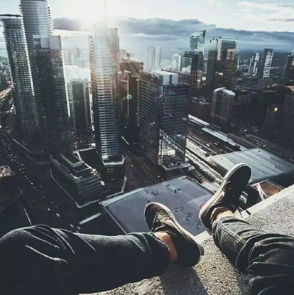 野狗的高光时刻!这操作让人始料不及