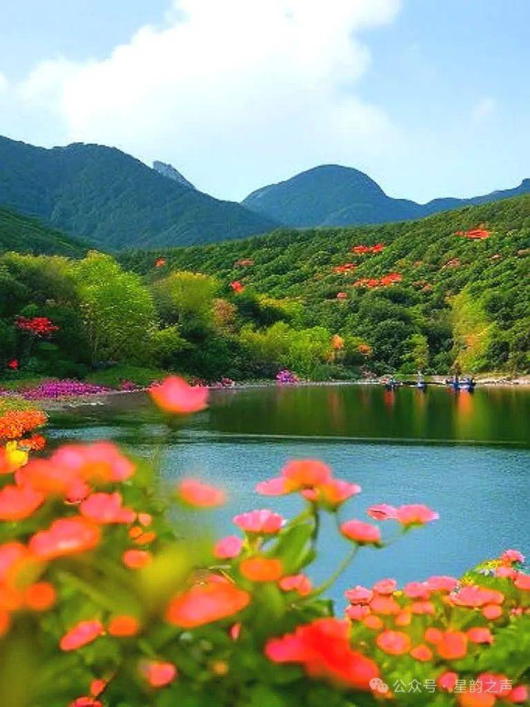 好心境,营造你人生最美的风景