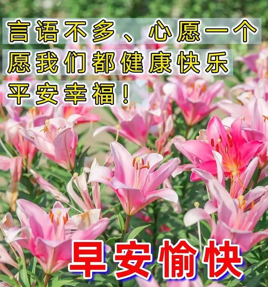 平安吉祥表情包图片