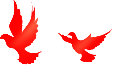 支队召开合同履约监督管理平台信息录入工作推进会_采购_监管_王丰