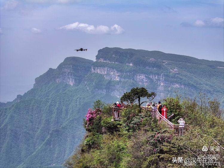 香炉山杜鹃花开正盛,去过的汉中人都被震撼了!_山顶_风景区_山风