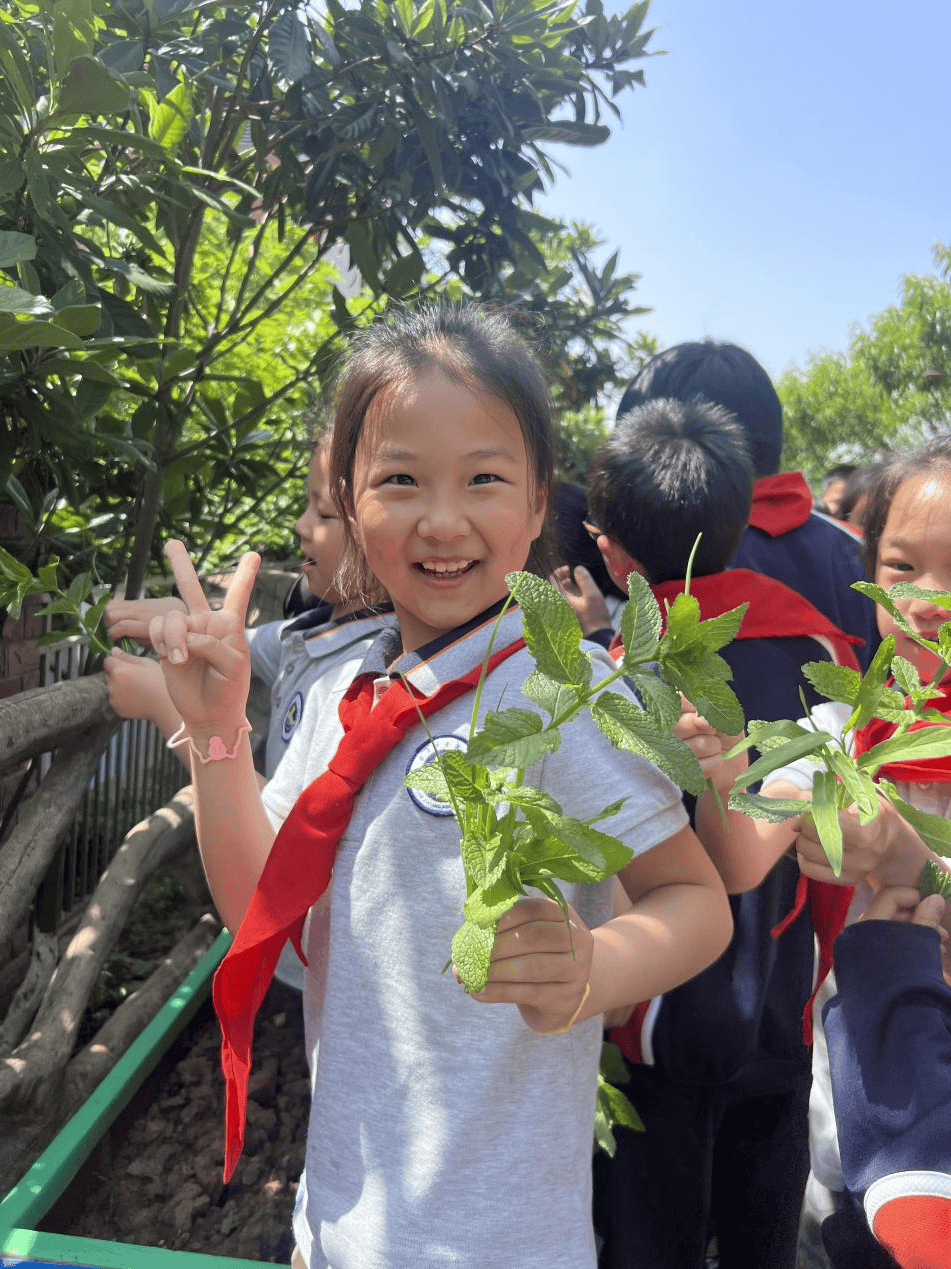 【协同育人】趣寻种植乐 感悟劳动美——记金陵小学和园校区张自忠
