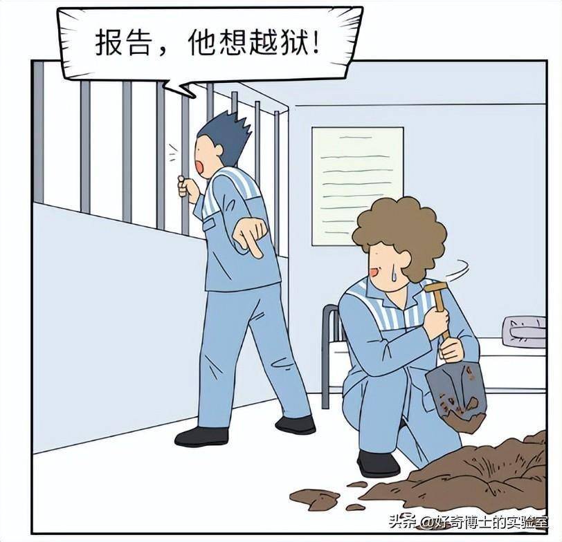 监狱服刑人员每天都在干啥?有没有娱乐活动?做点啥才能减刑?