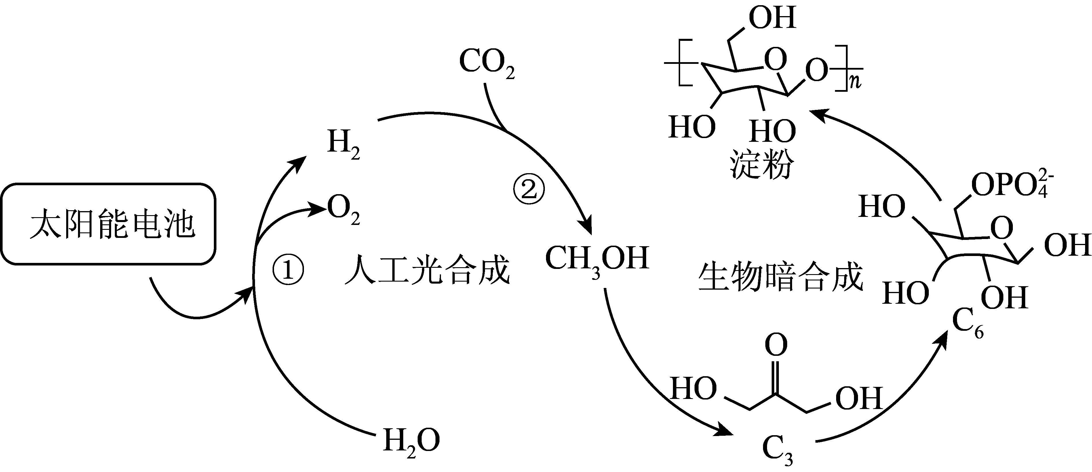 二氧化碳变淀粉图片