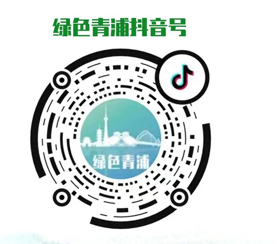 生态环保领域的青浦制造!他们正携中国的新质生产力走向世界