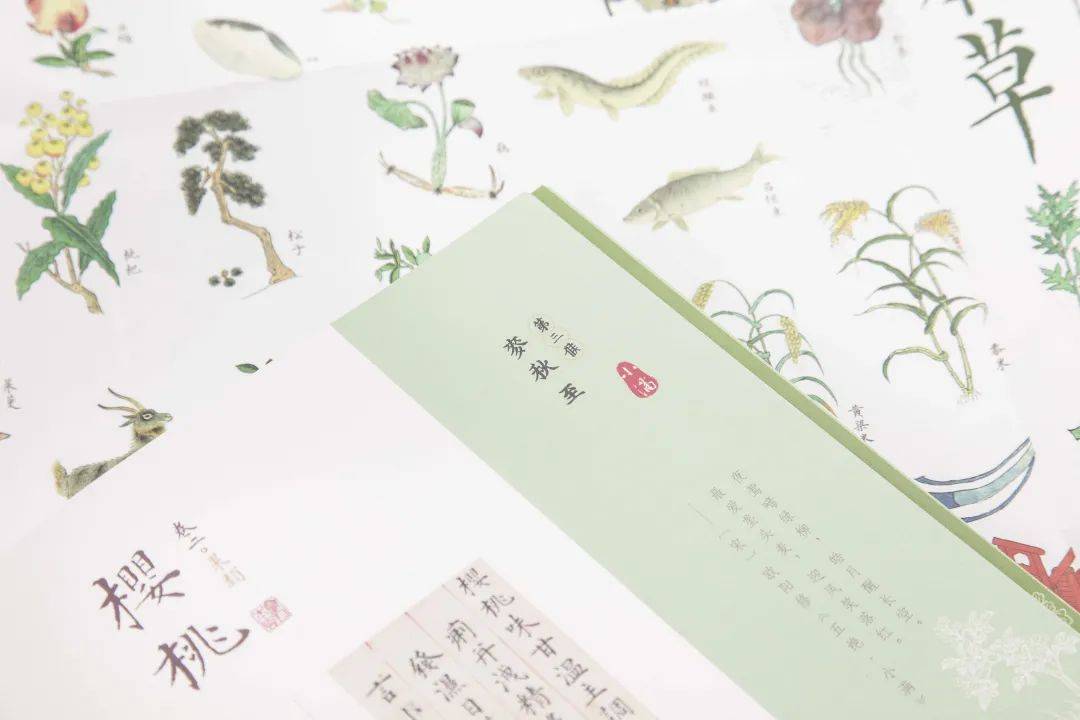 惊艳再现!