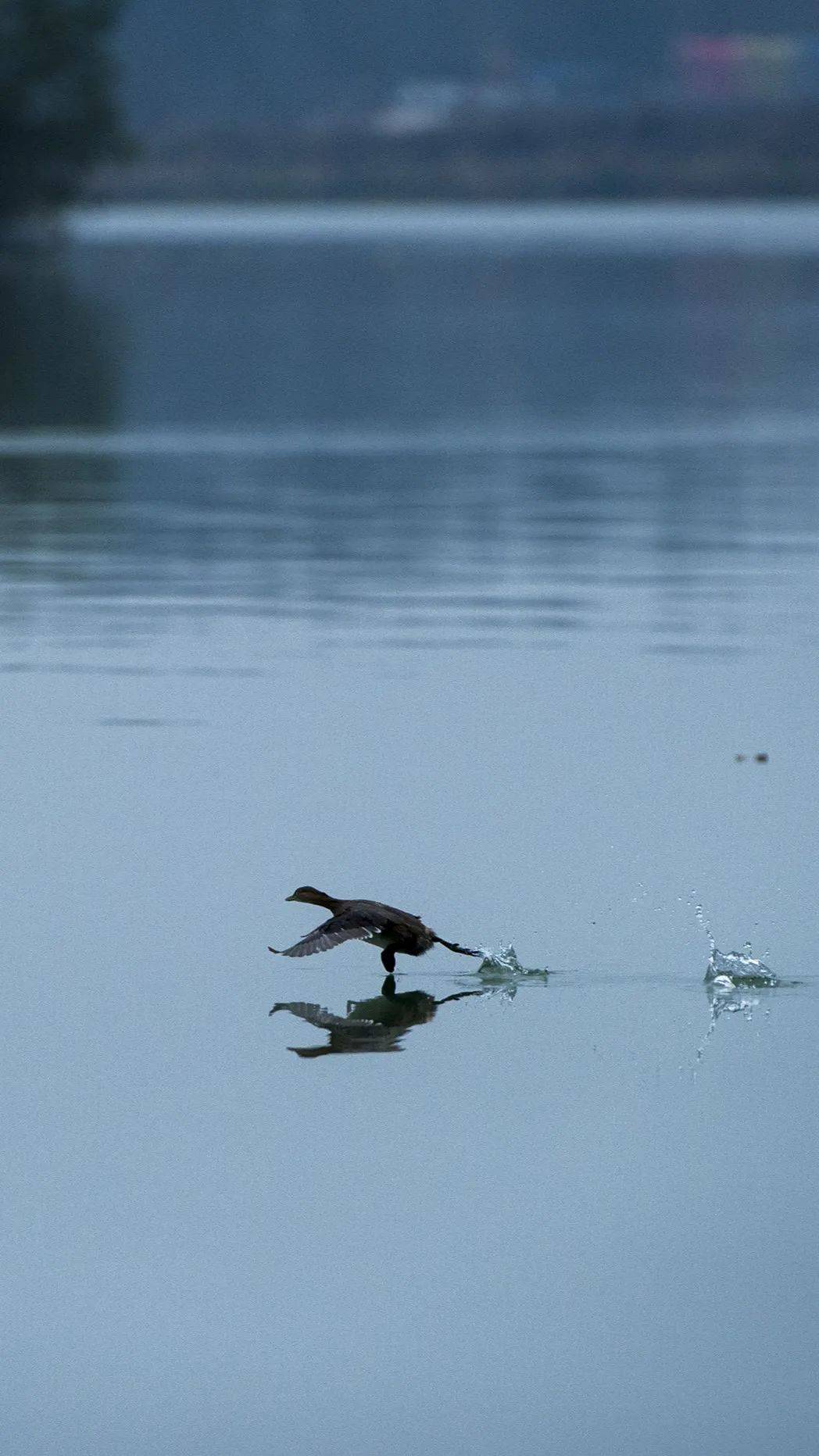 湖南,巨河制造机