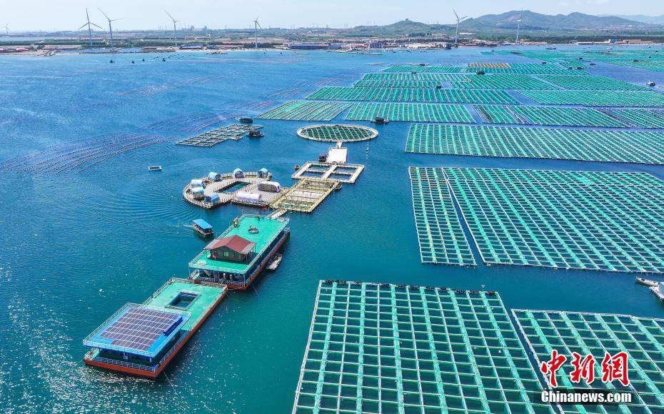 山东荣成探索"科技兴海" 绘就耕海牧渔画卷