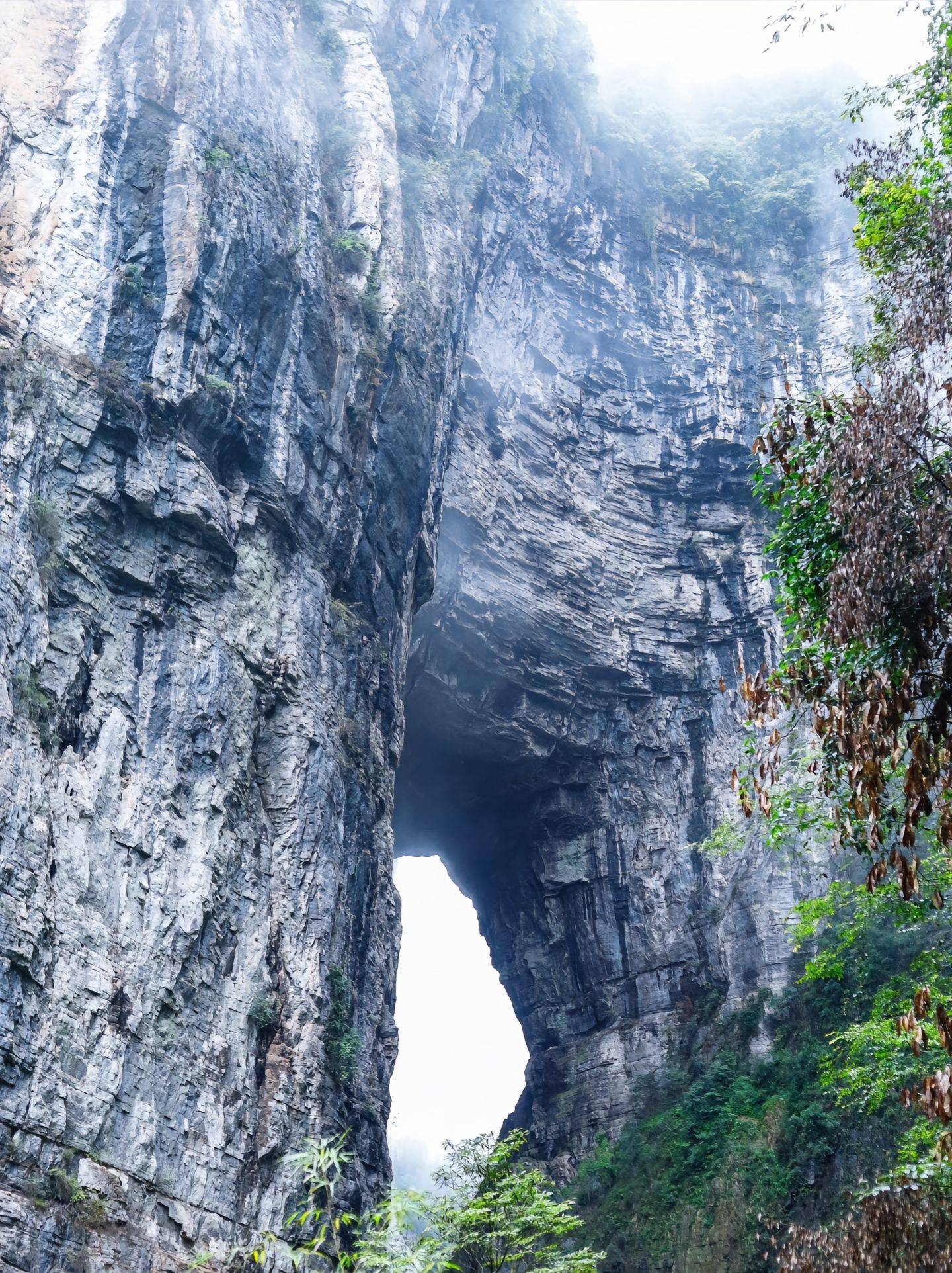 华阴至重庆旅游报团价格,团费多少 【费用 避坑 行程 小团】详细旅游