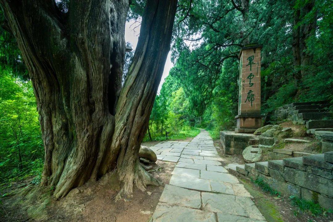 广元南山森林公园图片