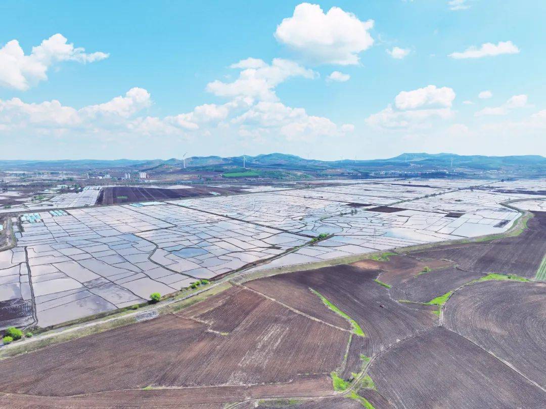 春耕好时节 插秧种稻忙 全市水田插秧陆续展开