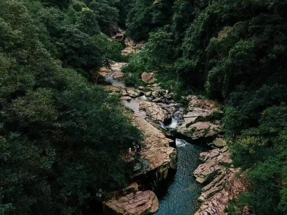 增城这个米酒村,藏在深山里,一年卖出100万斤!_兰溪村_酿酒_村民